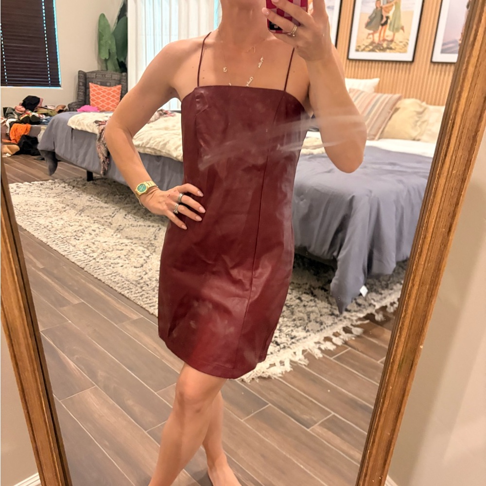 Wild Fable Burgundy Mini Dress